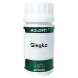 Holofit Ginkgo