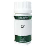 Holofit XY