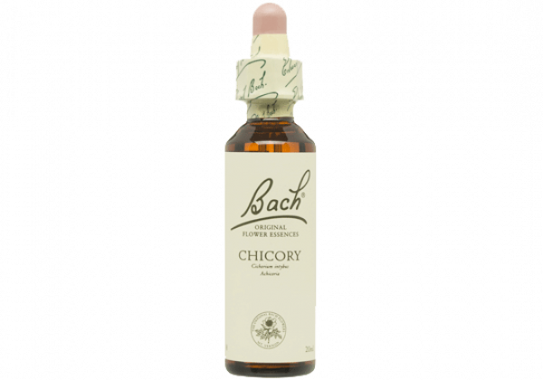Chicory nº 8  20 ml