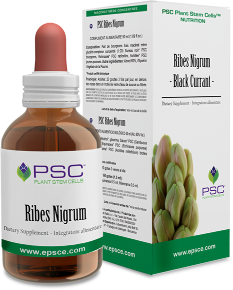 PSC Ribes nigrum 15ml