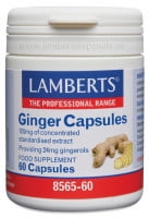 Jengibre 14.400 mg 60 cápsulas