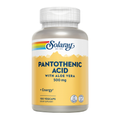 Acido Pantoténico 500mg 100 capsulas